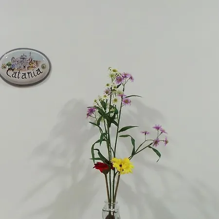 Duomo Bed & Breakfast